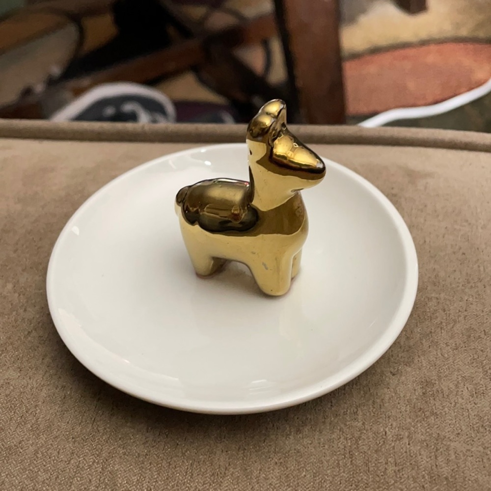 Little plate jewelry organizer